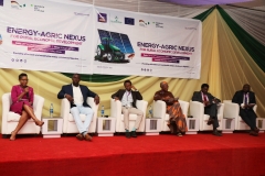 Queen Iwunwa-Aghomon of the Rural ELectrification Fund, facilitating plenary session two at the 'Energy-Agric Nexus for Rural Economic Development