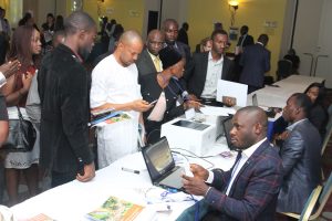 Nigeria: Mini Grid Roundtable (open to public)