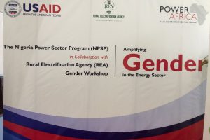 NPSP-REA Gender Workshop – Amplifying Gender in the Energy Sector